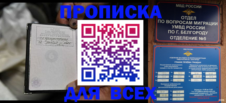 где прописаться в Невеле